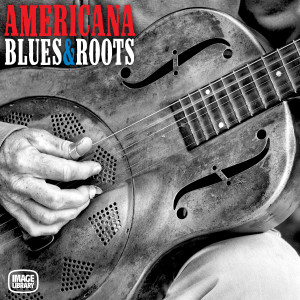 Tony Naylor的專輯Americana Blues & Roots