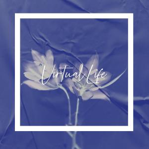 Dengarkan lagu Virtual Life nyanyian Fifty Gram dengan lirik