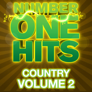 อัลบัม Number One Hits: Country Vol. 2 ศิลปิน Deja Vu