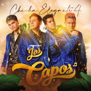Agrupación Los Capos的專輯Chicha Elegante 4