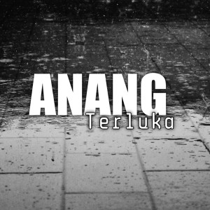 Listen to Terluka song with lyrics from Anang