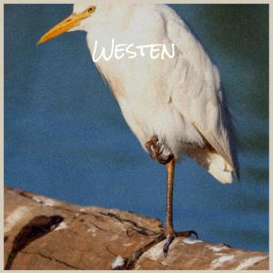 Various的专辑Westen