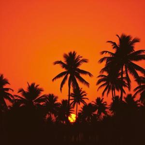 Latino Music的專輯Estrellas Tropicales Latino Beats