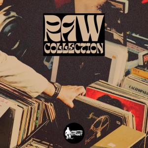 Album Raw Collection from Various