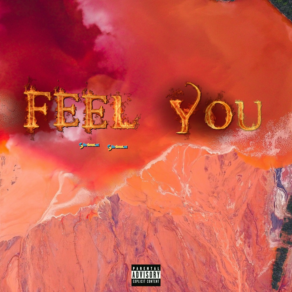 FEEL YOU (Explicit)