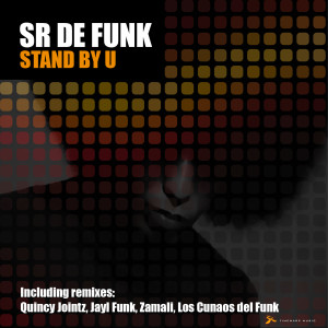 收聽Sr De Funk的Stand By You歌詞歌曲