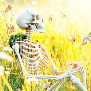 Listen to PRAY FOR ZOOT (Explicit) song with lyrics from ZOOT