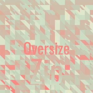 Various Artists的專輯Oversize Zip