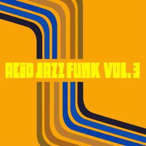 Album Acid Jazz Funk Vol. 3 oleh Various