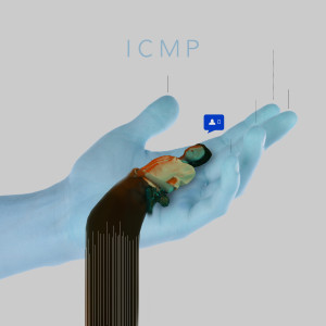 Album ICMP from STED.D