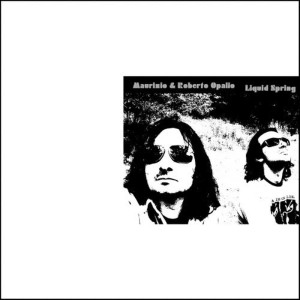 收聽Maurizio Opalio的Lost in the Wood歌詞歌曲