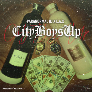 Paranormal Dj的专辑City Boys Up