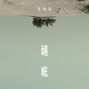 Listen to 谜底 song with lyrics from 张潼瑶