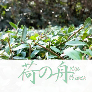 Y.G.T.Y的專輯荷之舟