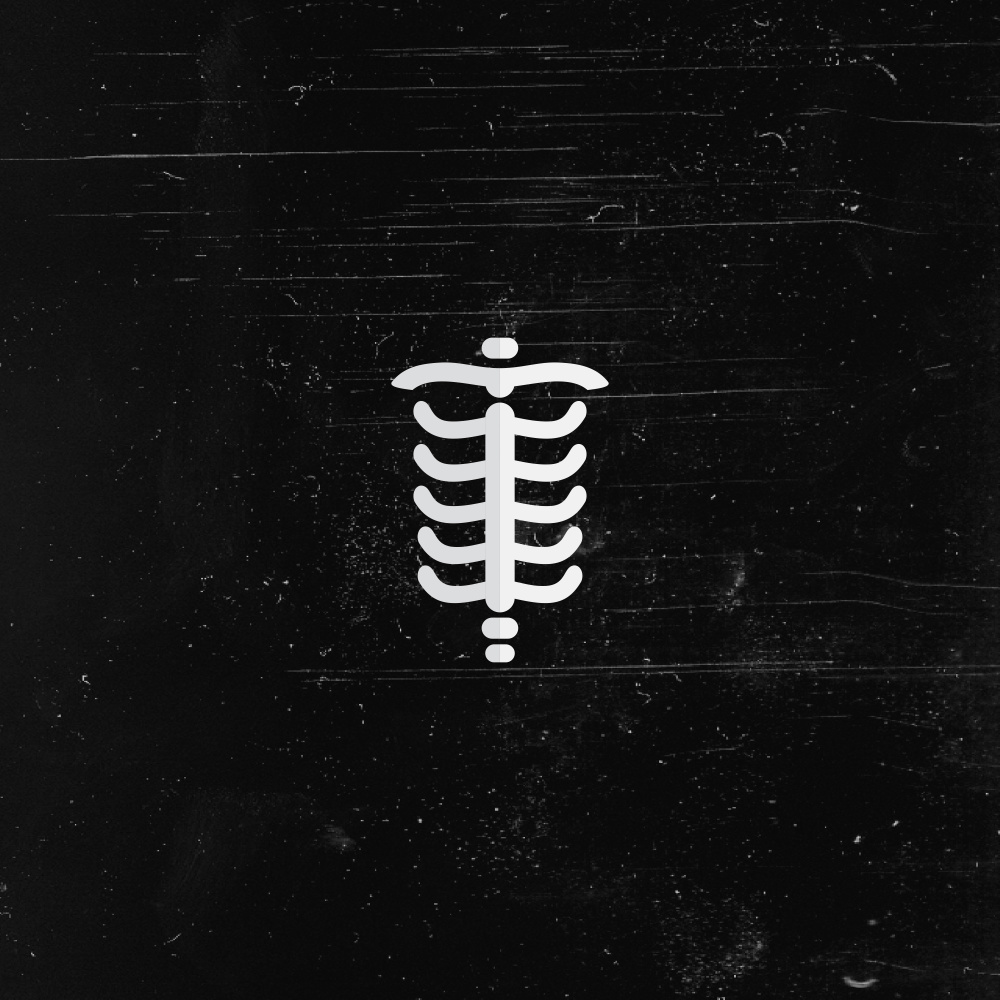 Ruido
