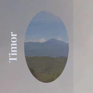 Album Timor oleh Various
