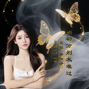 晓朋的专辑当初分别太难过DJ