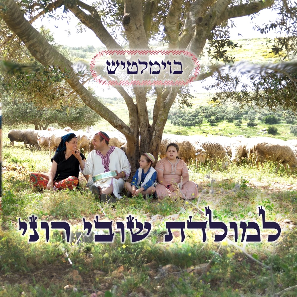 למולדת שובי רוני