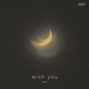 PURE的专辑wish you - Single