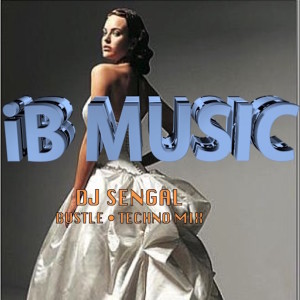 Listen to Bustle (Radio Edit) song with lyrics from DJ Sengal