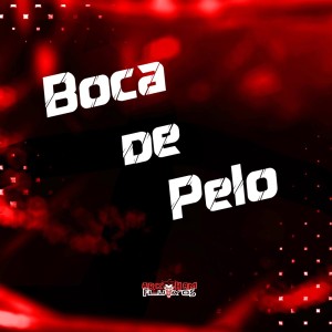 DJ LK DA VB的專輯Boca de Pelo (Explicit)