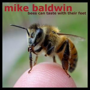 ดาวน์โหลดและฟังเพลง Open Eyes พร้อมเนื้อเพลงจาก Mike Baldwin