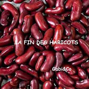 La Fin des Haricots (Radio Edit 2023) dari Gabi&Co