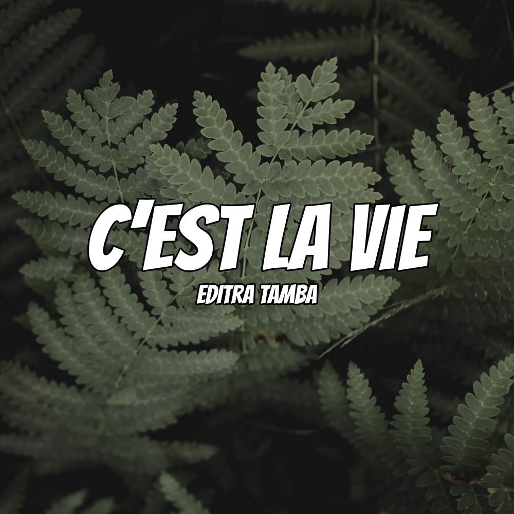 C'est La Vie