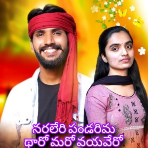 Album Naraleri Pandarima Tharo Maro Vayavero from Subhash Rathod