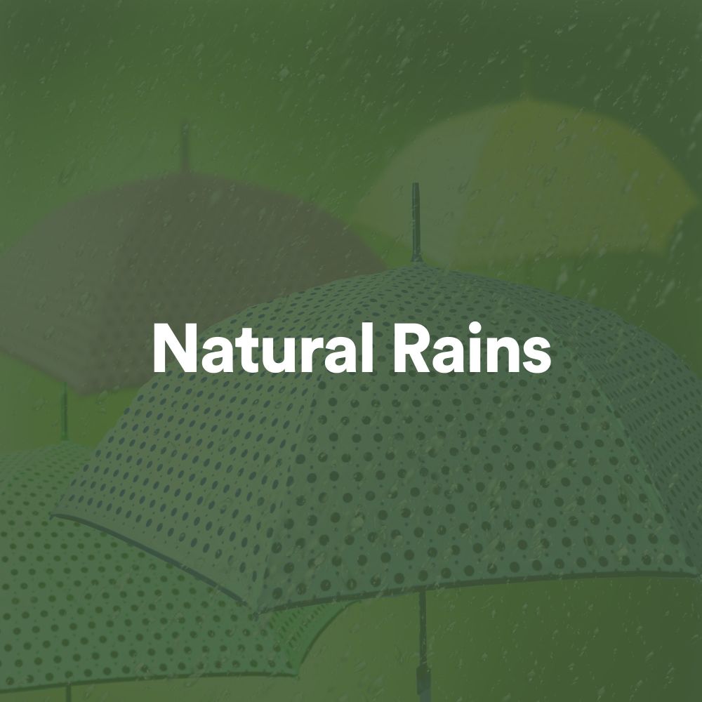 Relaxing Night Rain Sounds