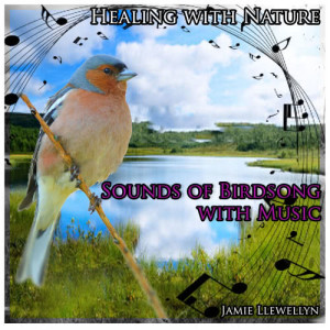 收聽Jamie Llewellyn的Healing with Nature: Sounds of Birdsong with Music歌詞歌曲