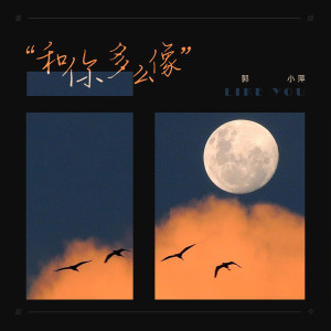 ดาวน์โหลดและฟังเพลง 和你多么像 พร้อมเนื้อเพลงจาก 郭小萍