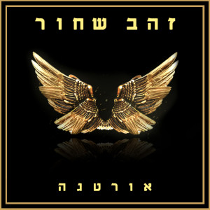 收聽אורטגה的יהלום歌詞歌曲