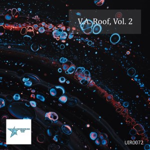Album V.a. Roof, Vol. 2 from Various Artists