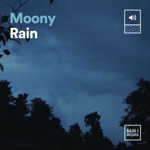 Album Moony Rain from Rain for Deep Sleep