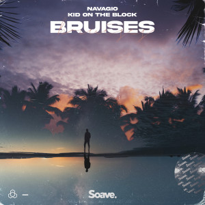 ดาวน์โหลดและฟังเพลง Bruises พร้อมเนื้อเพลงจาก Navagio