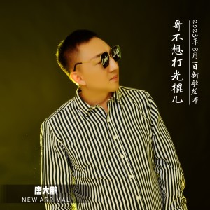 Listen to 哥不想打光棍儿 (伴奏) song with lyrics from 唐大鹏