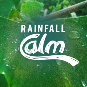 Rainfall Calm
