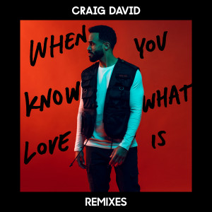 收聽Craig David的When You Know What Love Is (Alex Adair Remix)歌詞歌曲