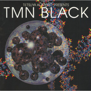 ดาวน์โหลดและฟังเพลง Wild Heaven พร้อมเนื้อเพลงจาก TM NETWORK
