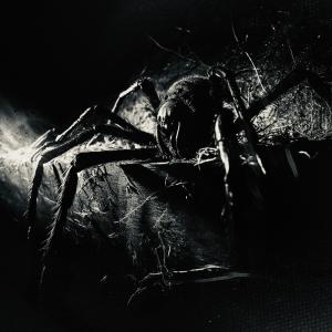 收聽MILITXNT的DEVOUR MY DEMONS (REMIX|Explicit)歌詞歌曲