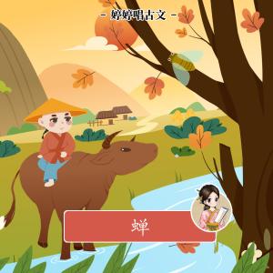 收聽胡婷婷的蟬歌詞歌曲