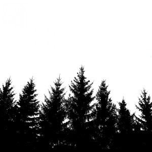 收聽Daniele Principato的Silence Kills歌詞歌曲