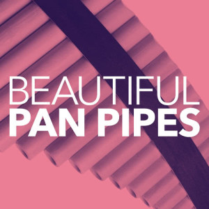 Dengarkan Flashdance... What A Feeling lagu dari Pan Pipes dengan lirik