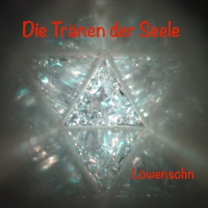 ดาวน์โหลดและฟังเพลง Die Tränen der Seele พร้อมเนื้อเพลงจาก Löwensohn