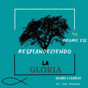 Album Salimos A Cazarlos (Resplandeciendo la Gloria) from Promil ESL
