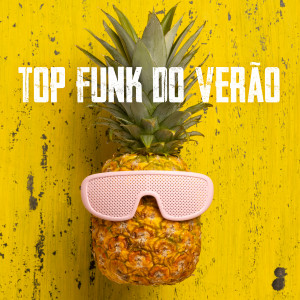 Various Artists的專輯Top Funk do Verão (Explicit)