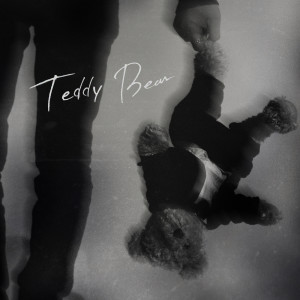 收聽Davii的Teddy Bear歌詞歌曲