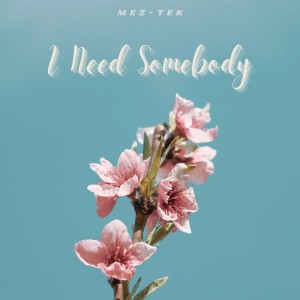 Dengarkan I NEED SOMEBODY lagu dari MEZ-TEK dengan lirik