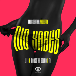 Listen to No Sabes song with lyrics from Leeb